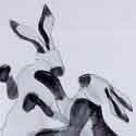 Boxing Hares